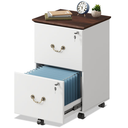 2-Drawer Rolling File Cabinet with Lock
