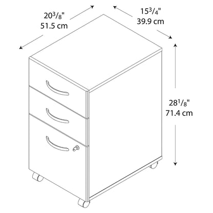 Business Office Storage Cabinet