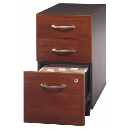 Business Office Storage Cabinet