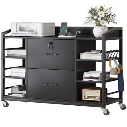 2-Drawer File Cabinet with Adjustable Shelves