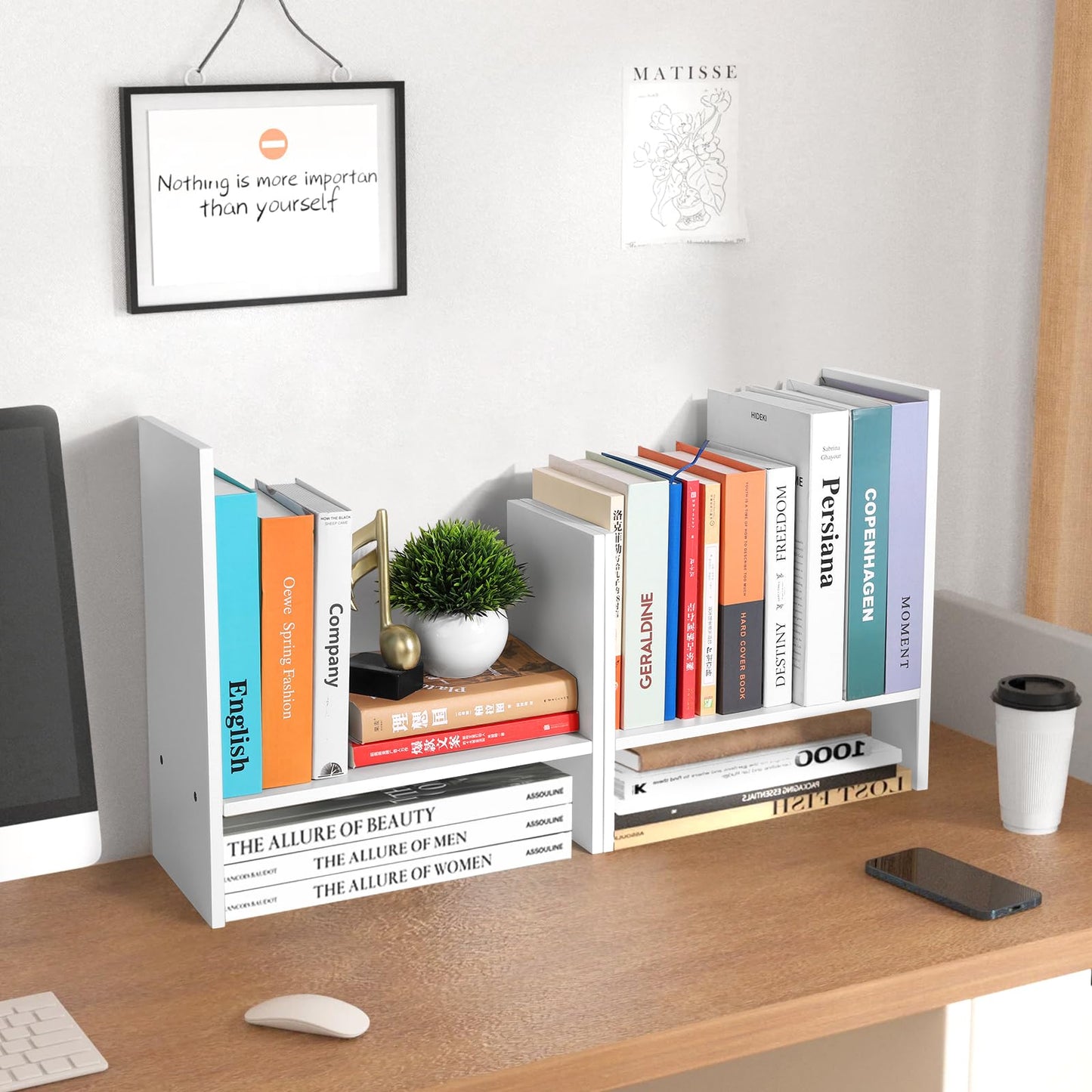 Adjustable Desktop Shelf Organizer