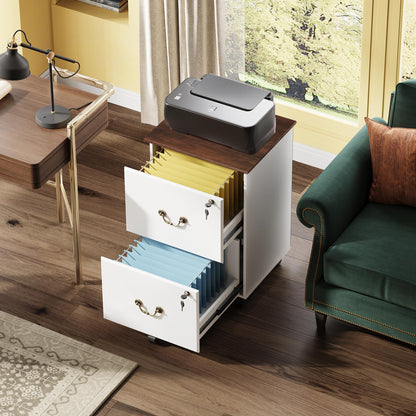 2-Drawer Rolling File Cabinet with Lock
