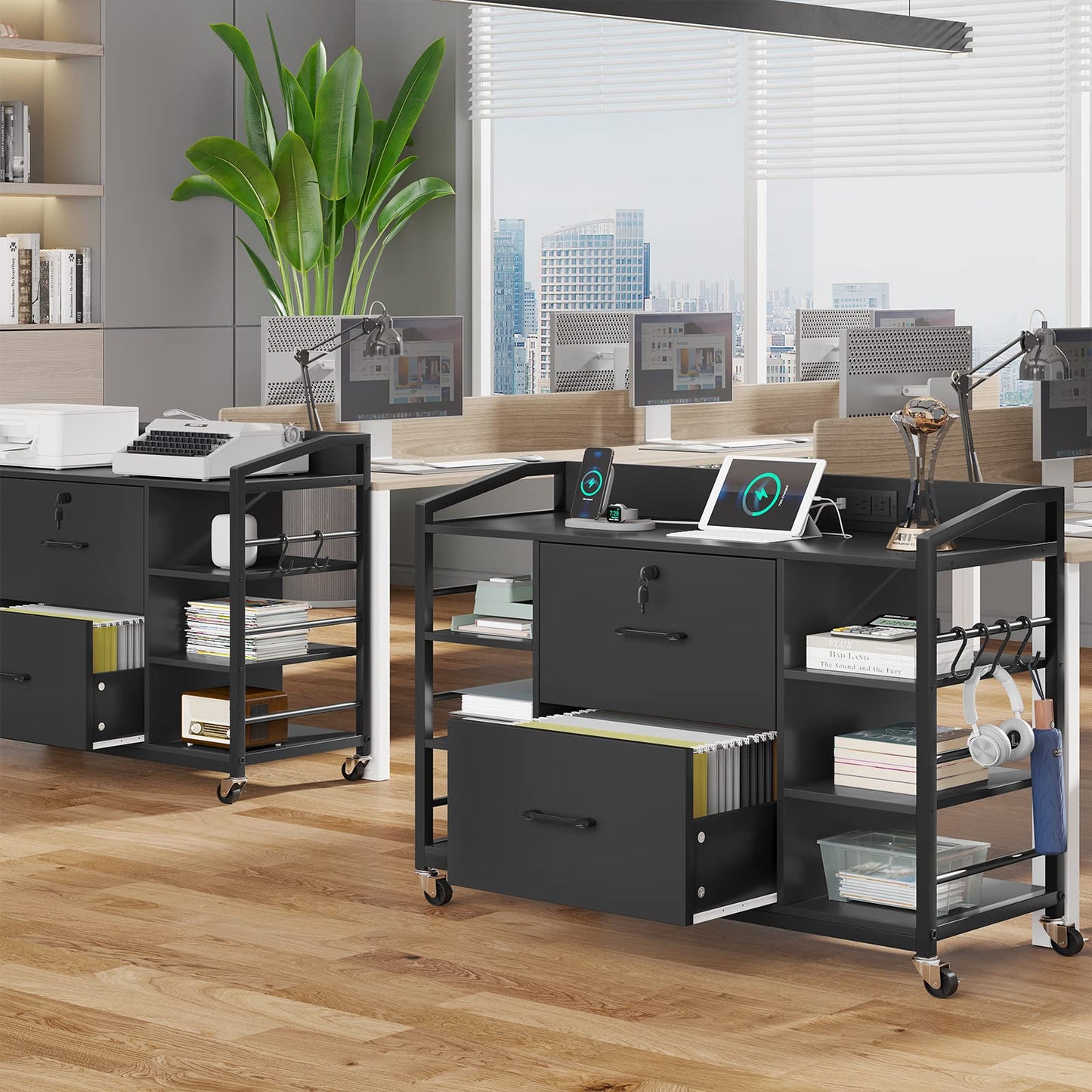 2-Drawer File Cabinet with Adjustable Shelves