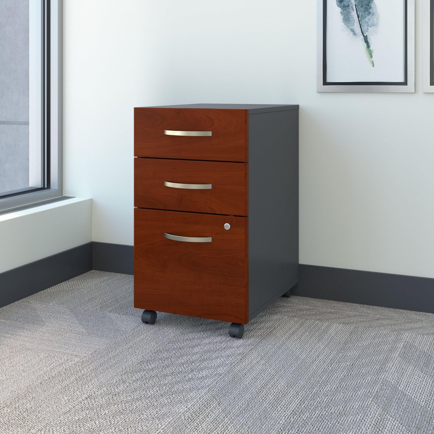 Business Office Storage Cabinet